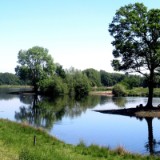 2605H 010 Steinh Becken
